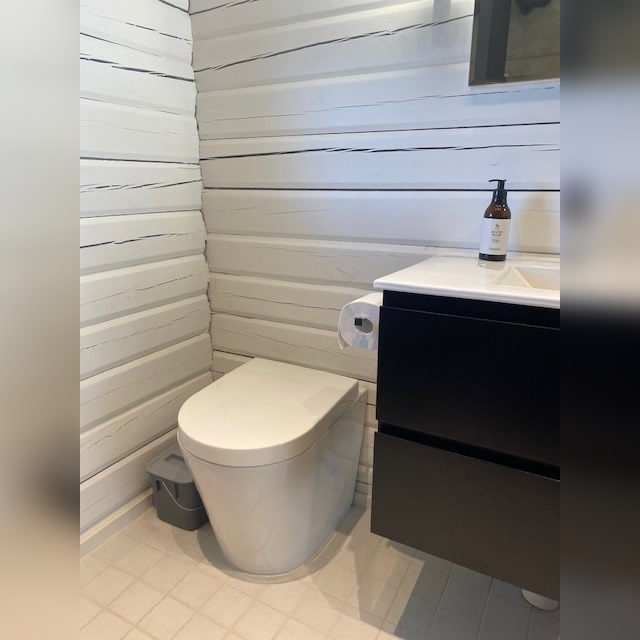 Green Toilet Lux modernissa sisätilassa
