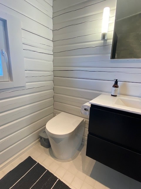 Green Toilet Lux Modernissa kylpyhuoneessa